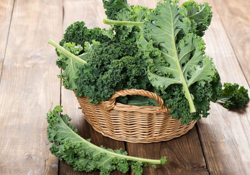 kale cavolo
